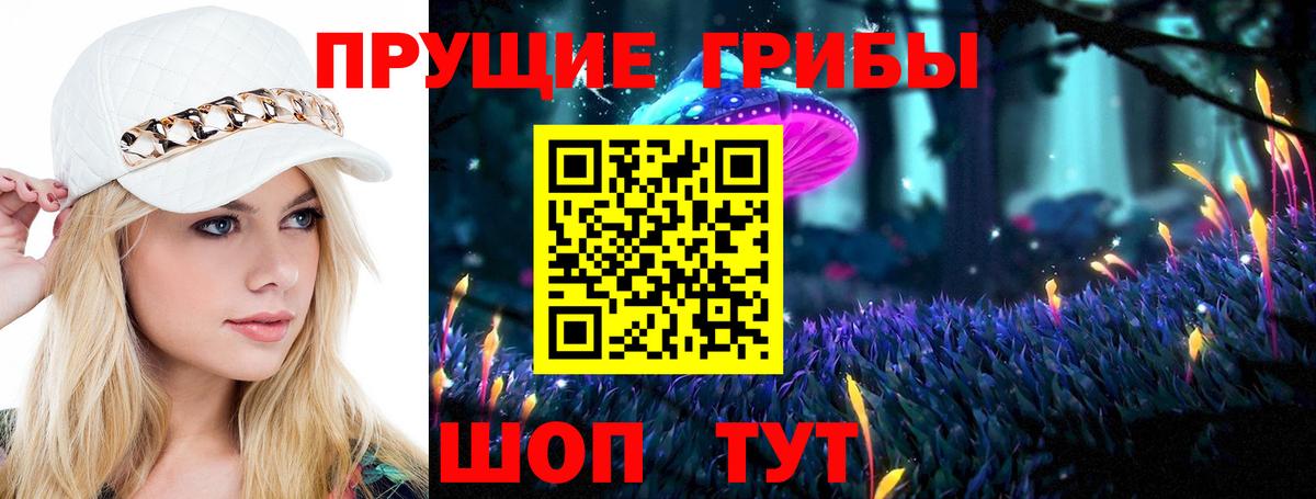 Псилоцибиновые грибы Cubensis Свободный