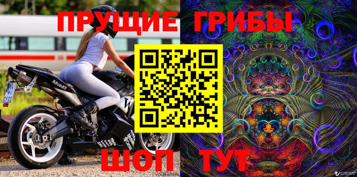 Псилоцибиновые грибы Cubensis  Вход с VPN  Свободный 